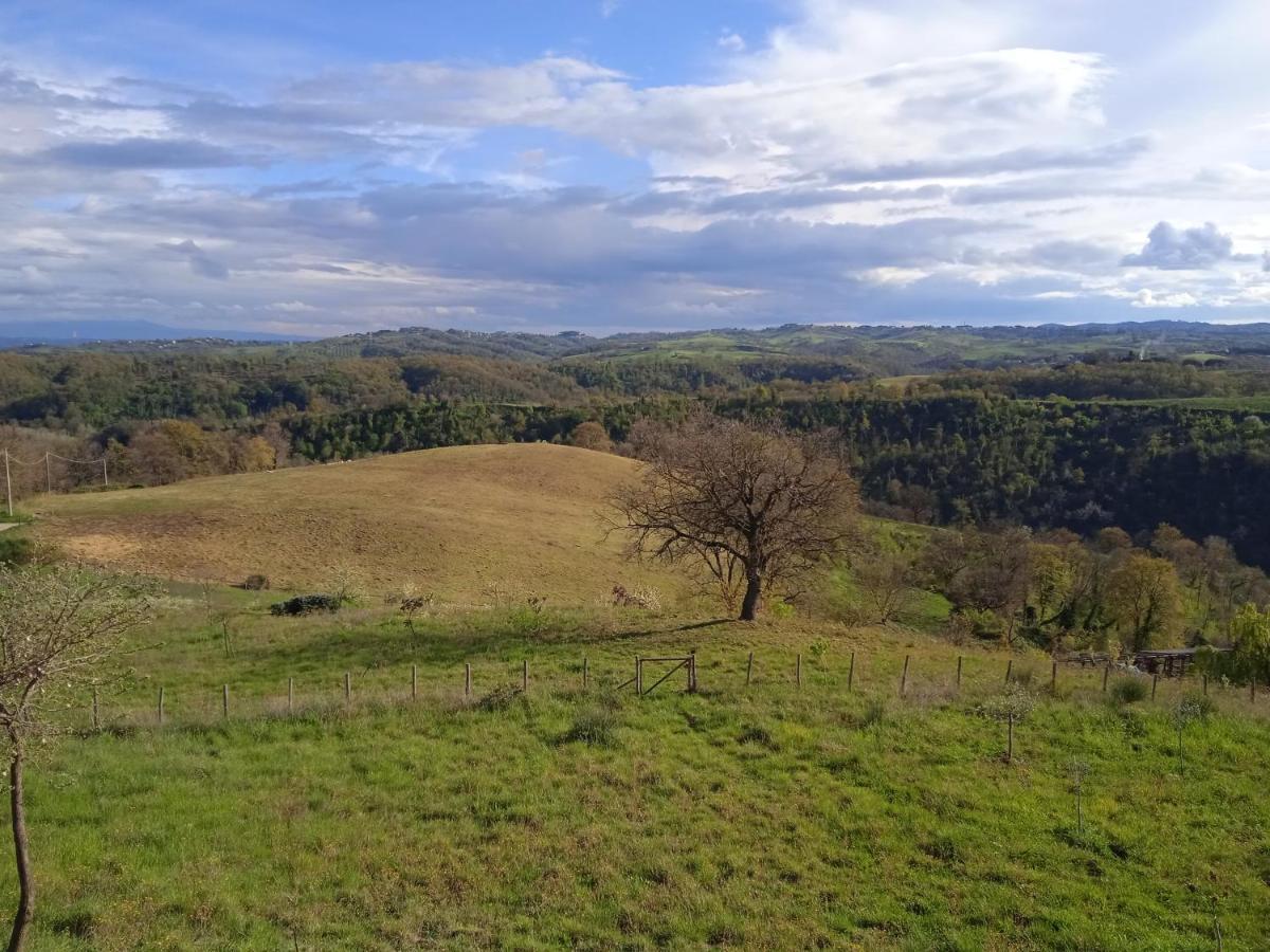 Agriturismo Il Cielo In Terra Sant'Oreste Екстериор снимка